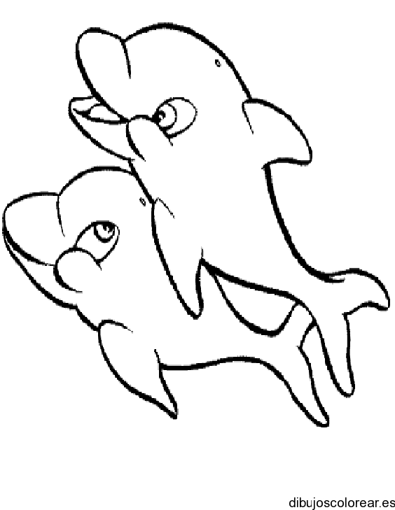 Dibujo de dos delfines para colorear