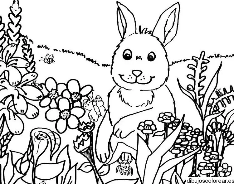 Conejo de Pascua para colorear