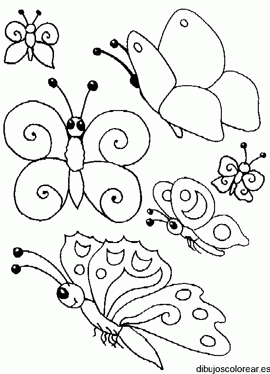 Dibujo colonia de mariposas para colorear