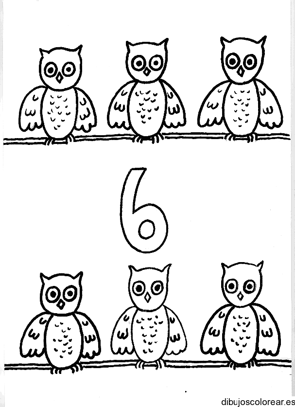 Dibujo de 6 búhos para colorear