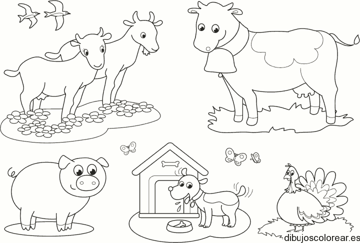 Dibujo de animales de granja para colorear