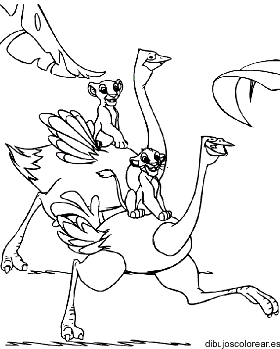 Dibujo de avestruces y leones paseando para colorear