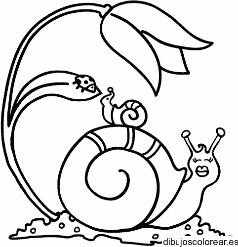 Dibujo de un caracol con su hijo para colorear