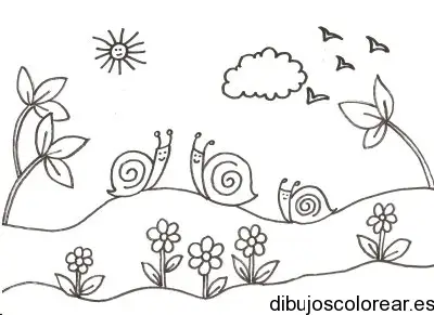 Dibujo de caracoles en la colina para colorear