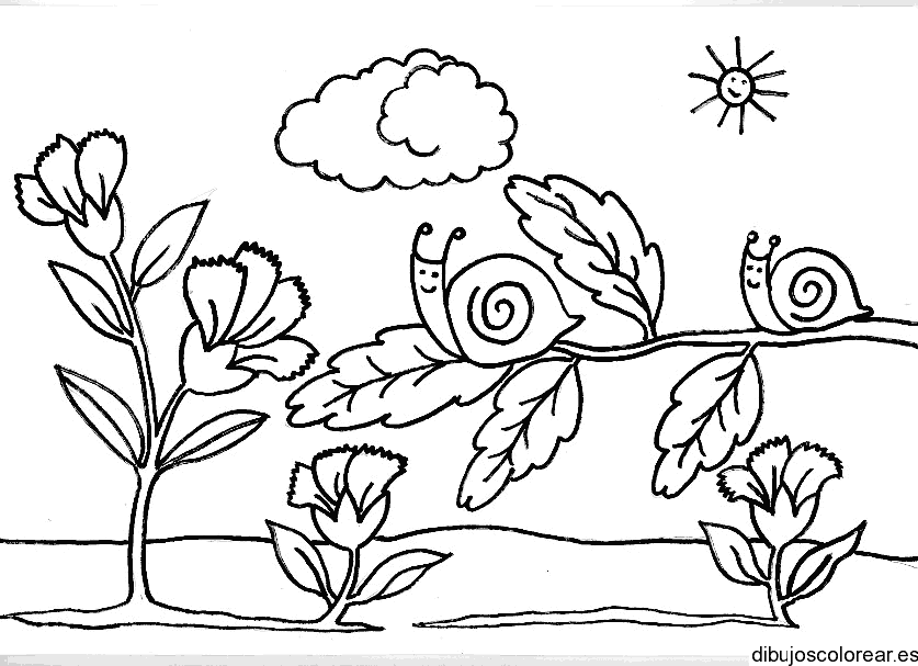Dibujo de caracoles en un árbol para colorear