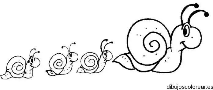 Dibujo de caracoles para colorear