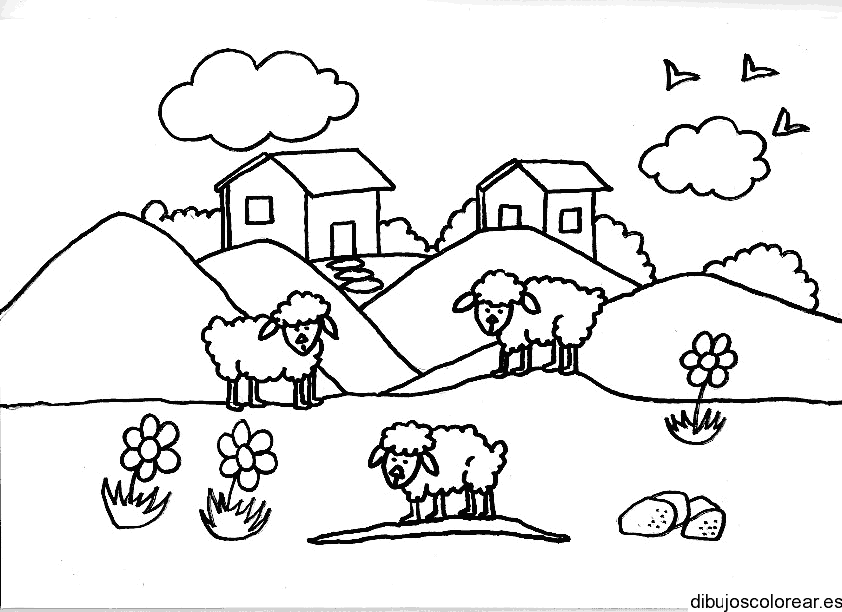 Dibujo de casas y ovejas para colorear