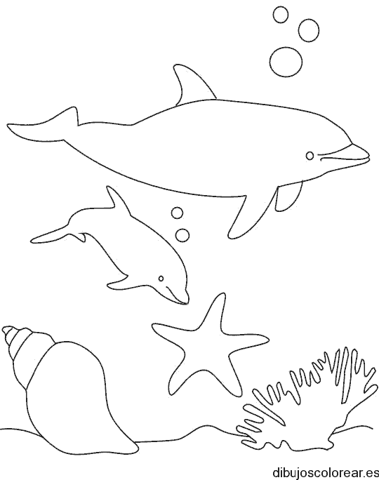 Dibujo de delfines en el fondo del mar para colorear