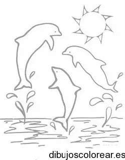 Dibujo de delfines saltarines para colorear