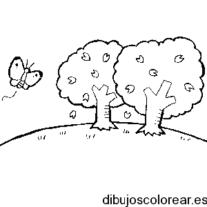 Dibujo de dos árboles y una mariposa para colorear