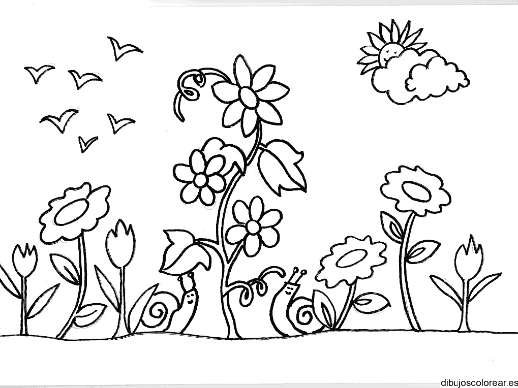 Dibujo de dos caracoles en el jardín para colorear