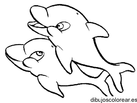Dibujo de dos delfines de paseo para colorear