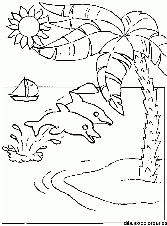 Dibujo de dos delfines y palmeras para colorear