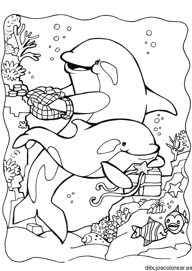 Dibujo de dos delfines y peces para colorear