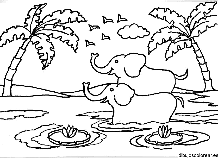 Dibujo de dos elefantes en un lago para colorear