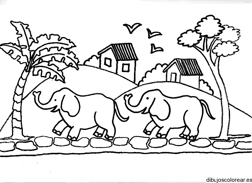 Dibujo de dos elefantes para colorear