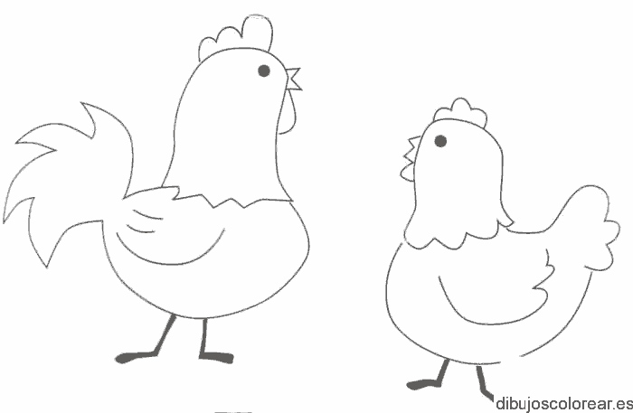Dibujo de dos gallinas para colorear