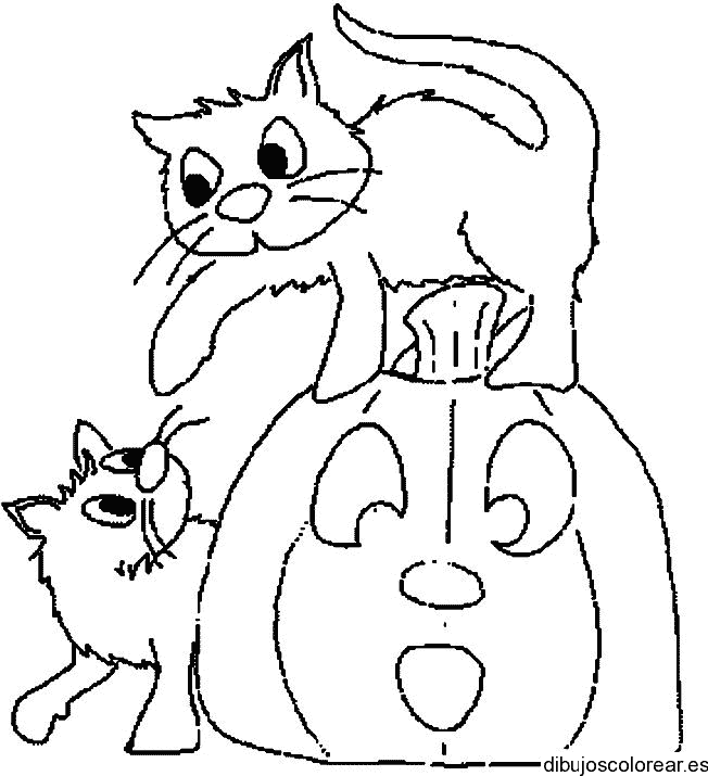 Dibujo de dos gatos y una calabaza para colorear