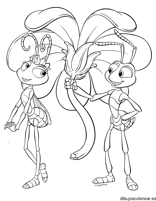 Dibujo de dos hormigas bajo una flor para colorear