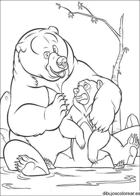Dibujo de dos osos en el río para colorear