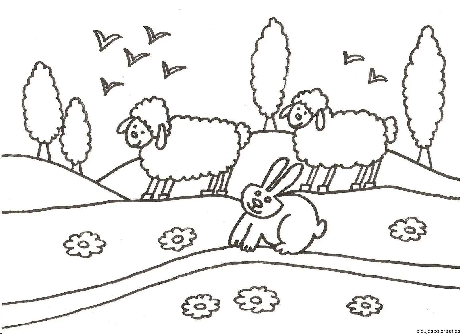 Dibujo de dos ovejas y un conejo jugando para colorear