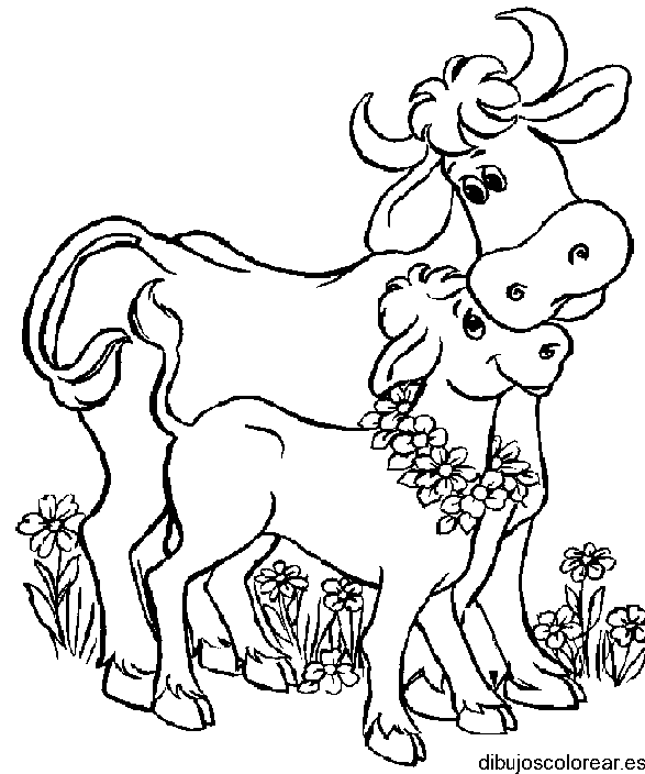 Dibujo de dos vacas para colorear