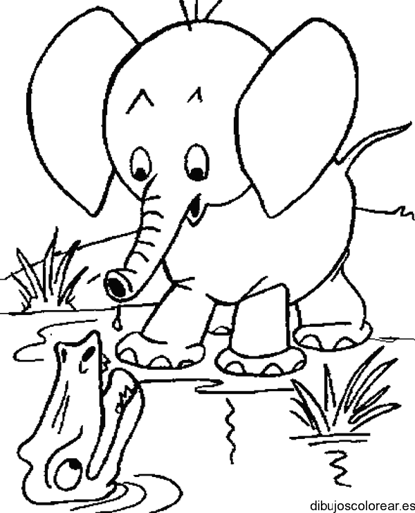 Dibujo de elefante bebe para colorear