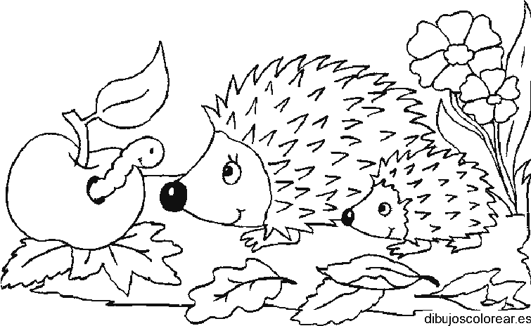 Dibujo de erizos y un gusano para colorear