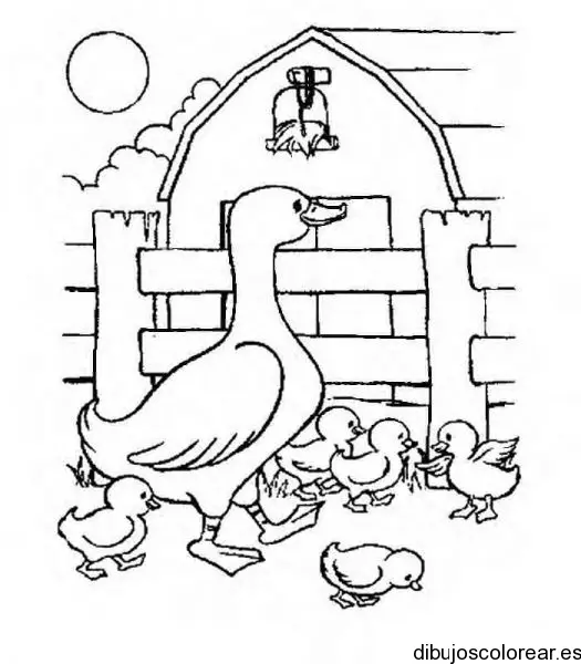 Dibujo de familia de patos para colorear