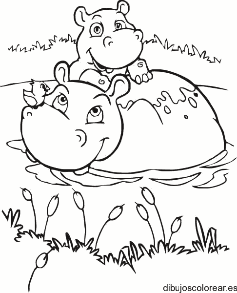 Dibujo de familia hipopótamos para colorear