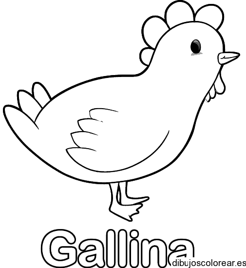 Dibujo de gallina con la palabra gallina para colorear