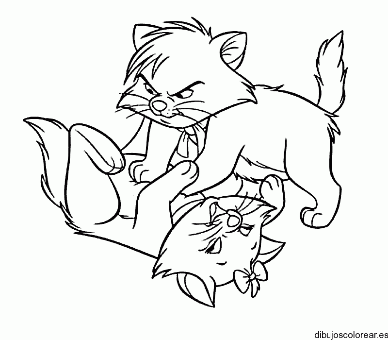 Dibujo de gatos riñendo para colorear