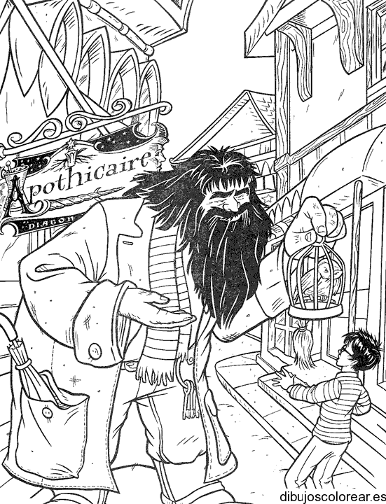 Dibujo de Harry Potter con un búho para colorear
