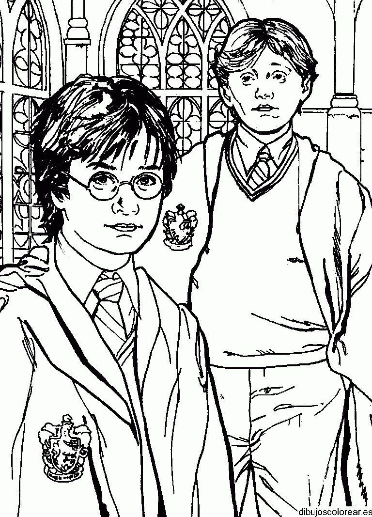 Dibujo de Harry Potter y su amigo para colorear