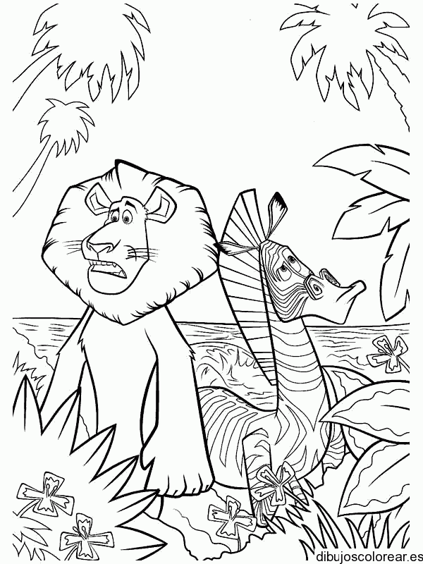 Dibujo de la cebra y el león entre palmeras para colorear