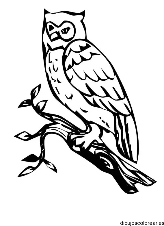Dibujo de la silueta de un búho para colorear