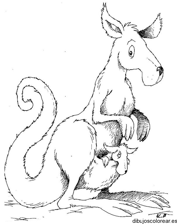 Dibujo de mamá canguro para colorear
