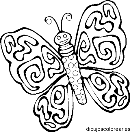 Dibujo de mariposa con las alas abiertas para colorear