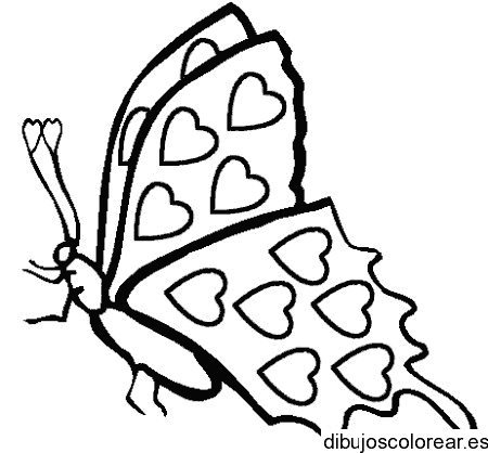 Dibujo de mariposa con las alas cerradas para colorear