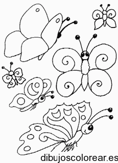 Dibujo de mariposas revoloteando para colorear