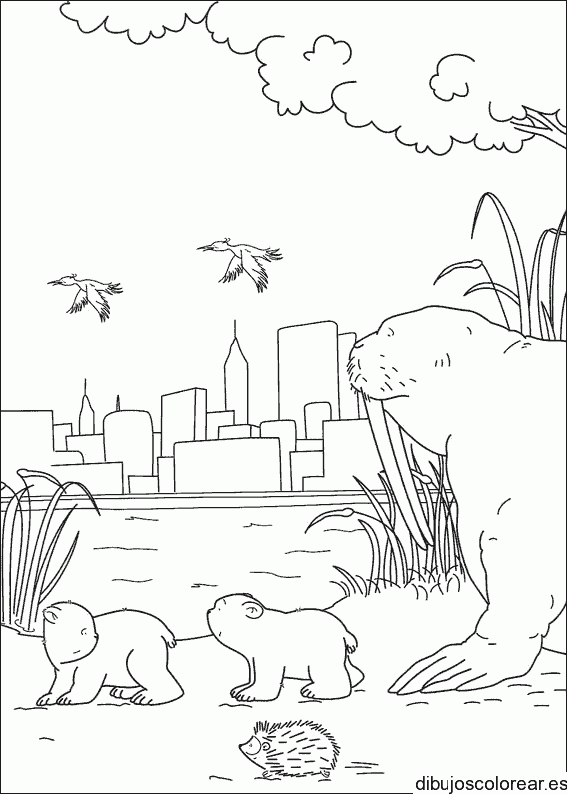 Dibujo de osos que miran hacia la ciudad para colorear