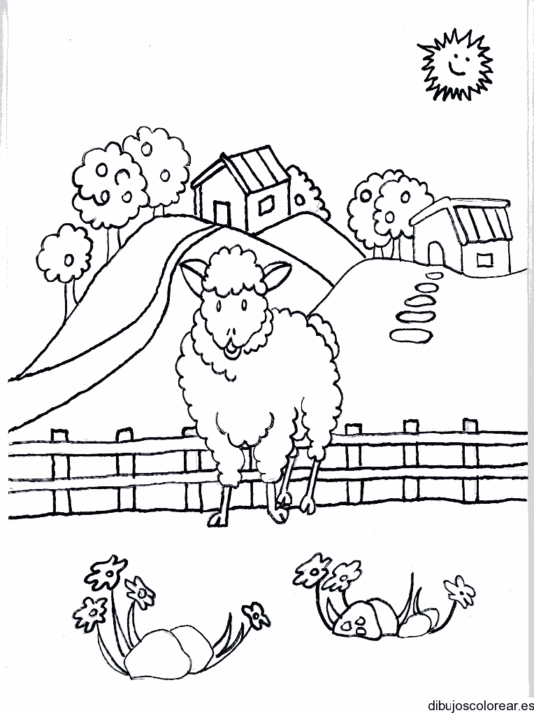 Dibujo de oveja en su corral para colorear