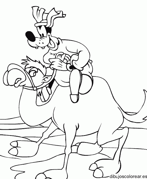 Dibujo de Pluto en un camello para colorear