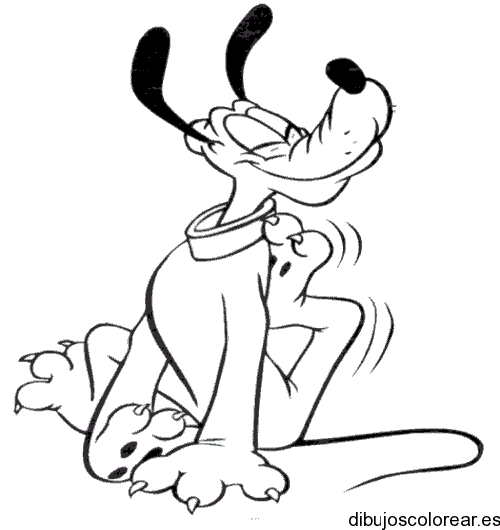 Dibujo de Pluto sonriendo para colorear