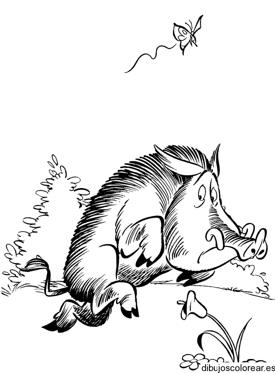 Dibujo de Pumba corriendo para colorear