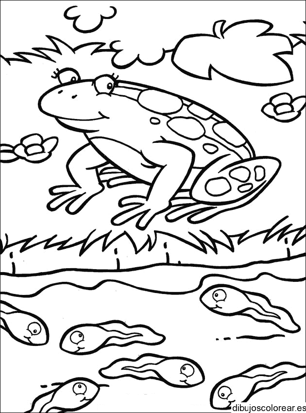 Dibujo de rana y peces para colorear