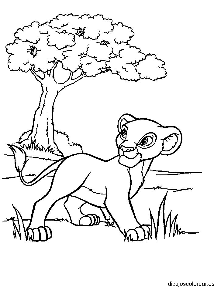 Dibujo de Simba de paseo para colorear