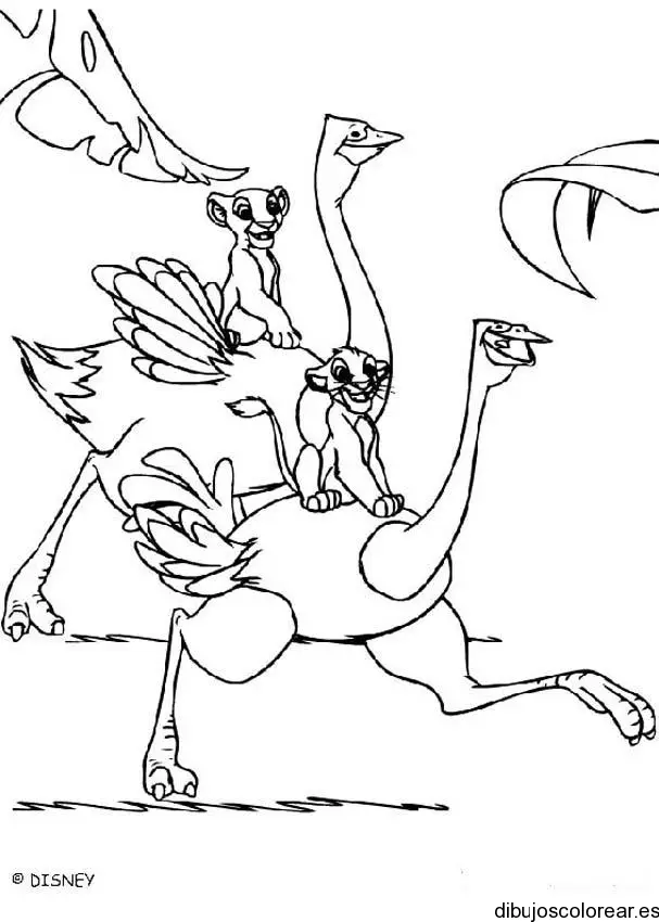 Dibujo de Simba y Nala en avestruces para colorear