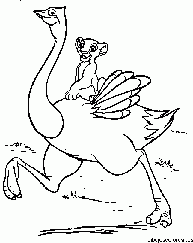 Dibujo de Simba y una avestruz para colorear
