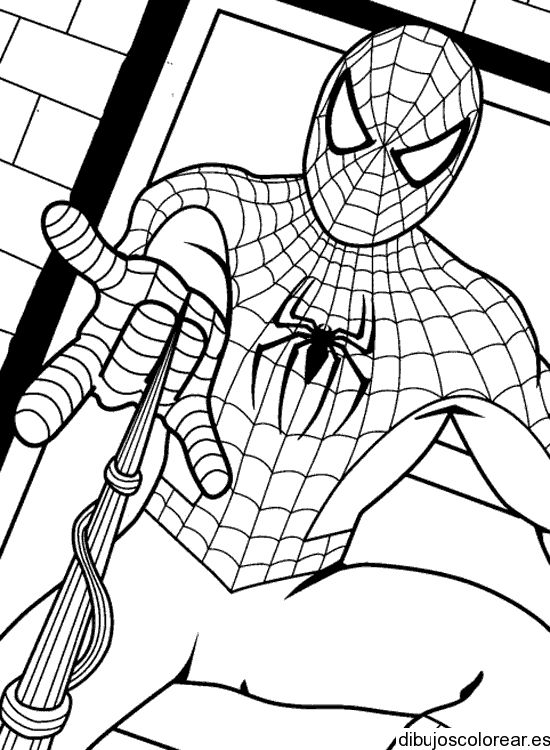 Dibujo de Spiderman al ataque para colorear